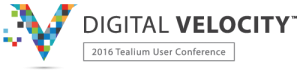 Digital-Velocity-Logo