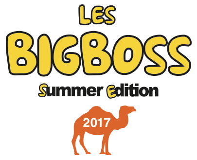 Big Boss 2017